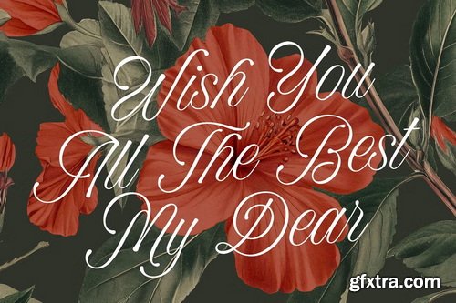 CreativeMarket - Winter Rhapsody - Calligraphy Font