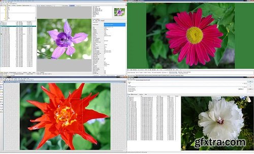 WildBit Viewer 6.18