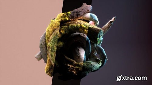 Entagma - Rendering 101