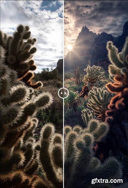 Max Rive Photography - Photoshop Sunstar Creation Tutorial