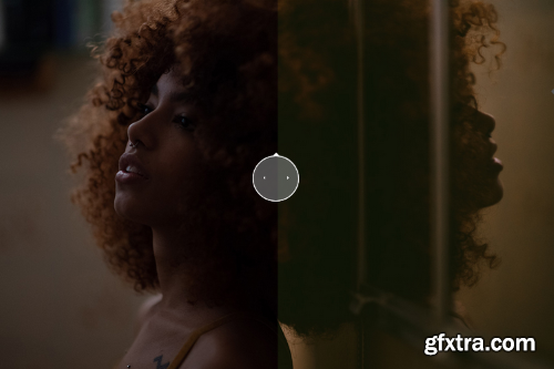 Dvlop - Joao Guedes - Diaries Presets