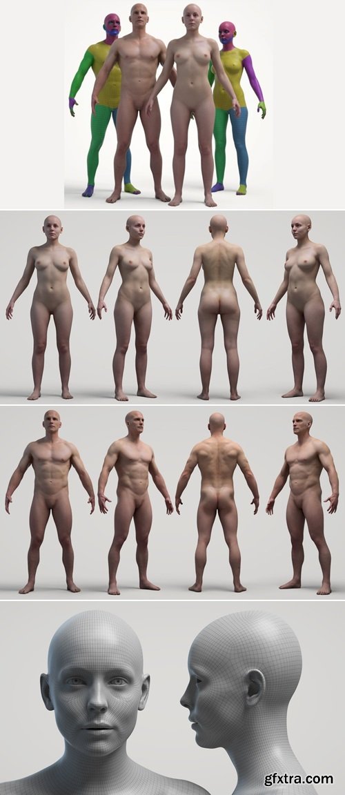 3D Scan Store - Ultimate Textured Male And Female Base Mesh Bundle