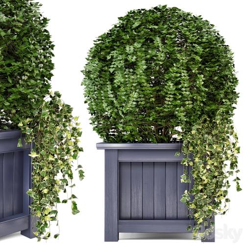 '3dsky Pro - Outdoor Plants in Wooden Pot - Set 34'