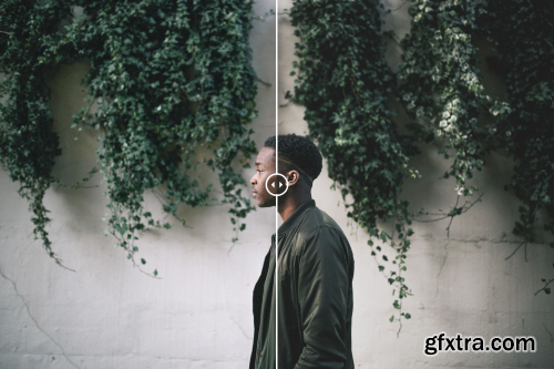 LUTs Lounge - Beatnik Hipster Cinematic 3D LUTs