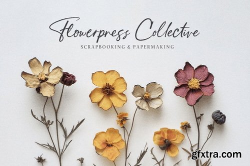 CreativeMarket - Humble & Grand Handwritten Script