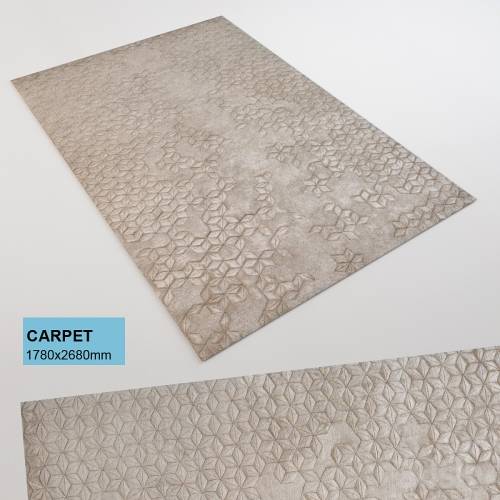 '3dsky Pro - Carpet p'