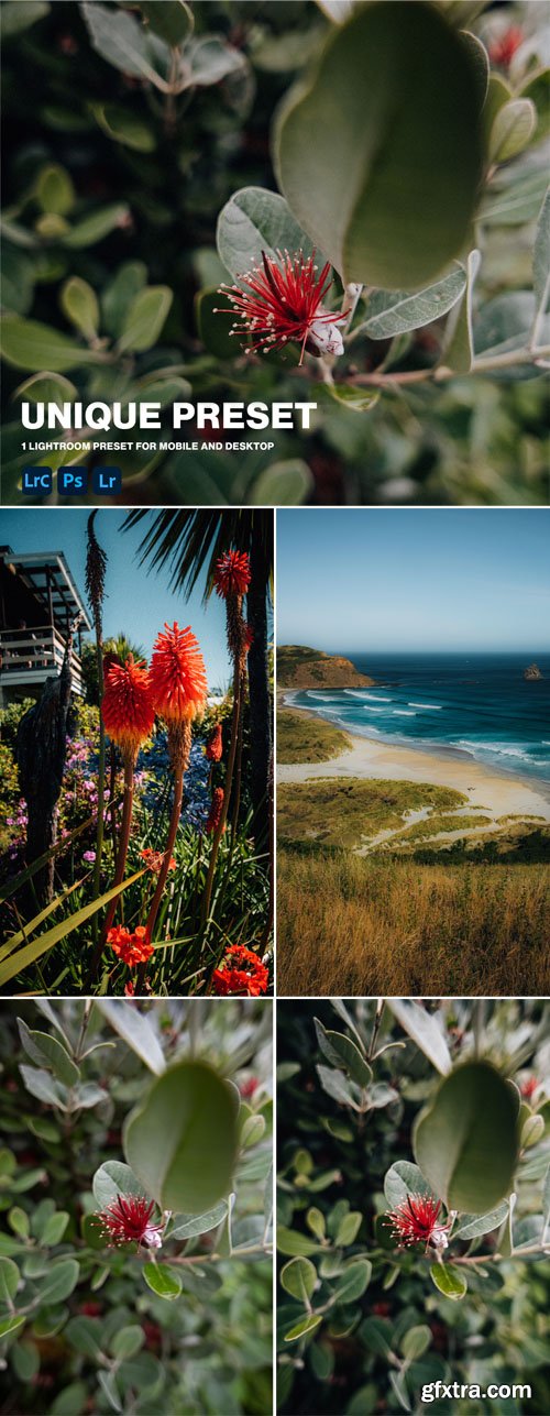 Unique Mobile Lightroom Preset