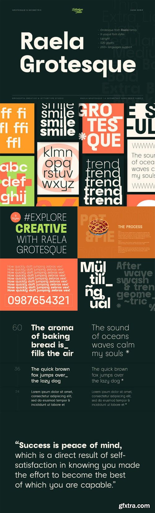 Raela Grotesque Font Family