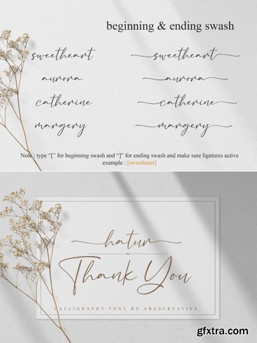 Bacalisties - Modern Calligraphy Font