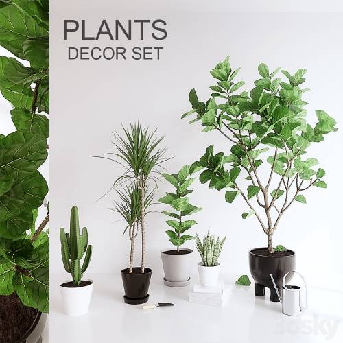 '3dsky Pro - PLANTS SET (vray GGX, corona PBR)' '3dsky Pro - PLANTS SET (vray GGX, corona PBR)'