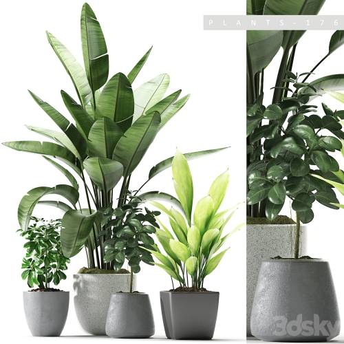 '3dsky Pro - Plants 176'
