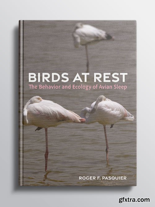 Birds at Rest: The Behavior and Ecology of Avian Sleep