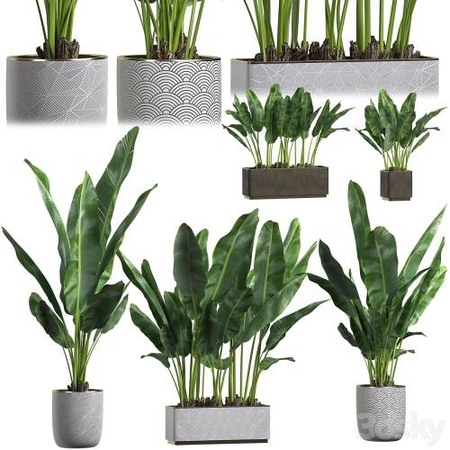 '3dsky Pro - INTERIOR FLOWER PACK 1'