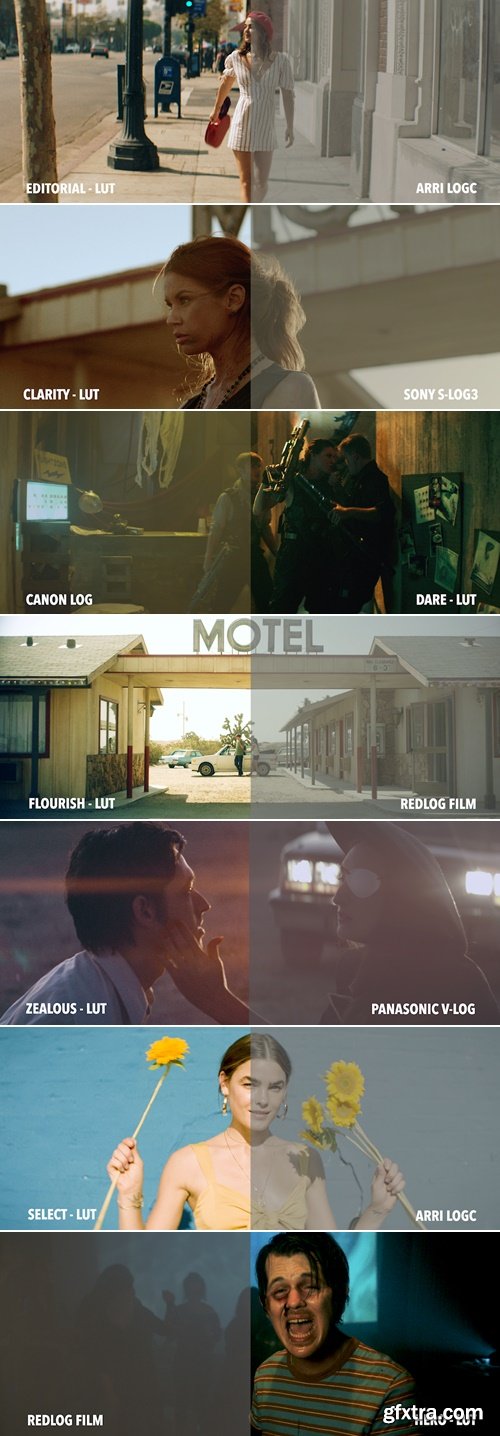 Tropic Colour - BOLD ABSTRACTION LUTS