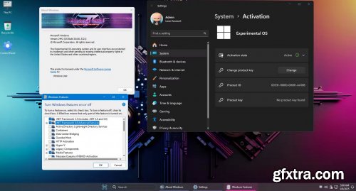Windows 11 Pro 24H2 Build 26100.3321​ Experimental OS 2025