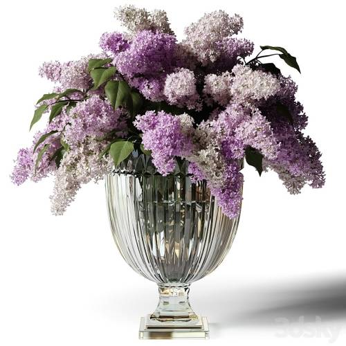 '3dsky Pro - Bouquet of lilacs in a glass vase'