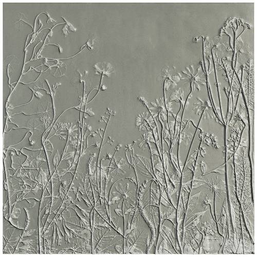 '3dsky Pro - Botanical bas-relief gypsum wall decorative panel juniper dried flowers plants flora chamomile hogweed'