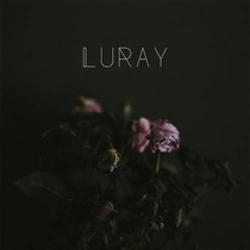 'Audiio - Shine (Instrumental) - Luray'