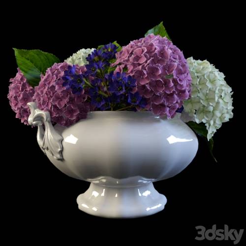 '3dsky Pro - Hydrangea in a vase'