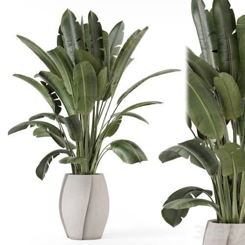 '3dsky Pro - Indoor Plants in rusty Concrete Pot - Set 1612'