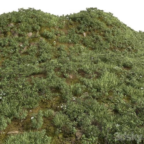 '3dsky Pro - GRASS COLLECTION FOR LANDSCAPE NO12'