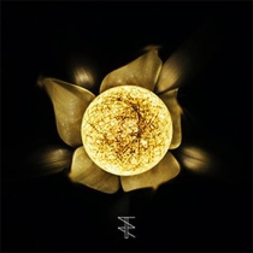 'Audiio - Bloom (Instrumental) - Rhodan'