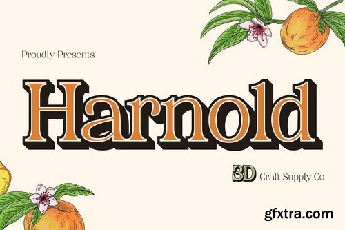 CreativeMarket - Harnold 3D Font