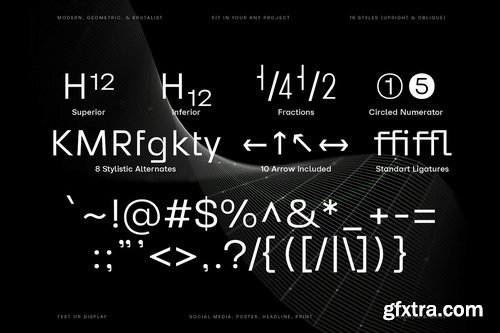 CreativeMarket - Reflow Sans Font