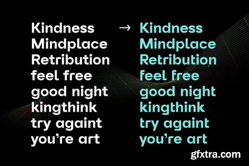 CreativeMarket - Reflow Sans Font