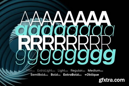 CreativeMarket - Reflow Sans Font