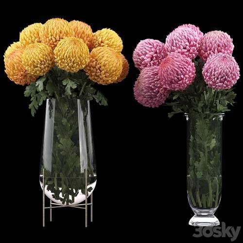 '3dsky Pro - Chrysanthemum 2' '3dsky Pro - Chrysanthemum 2'