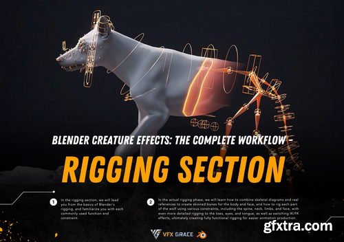 Vfxgrace - Blender Animal Full Tutorial
