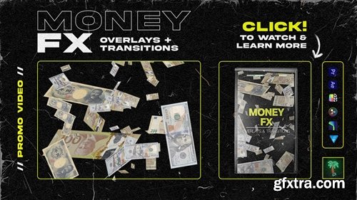 Tropic Colour - Money FX