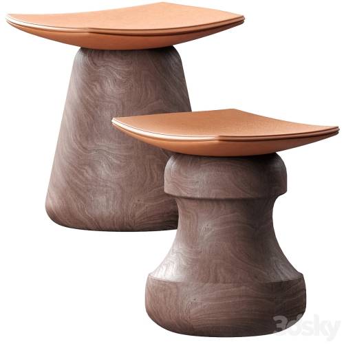 '3dsky Pro - set stool ROI and MAT'