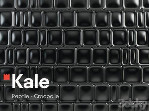 '3dsky Pro - KALE Reptile - Crocodile'