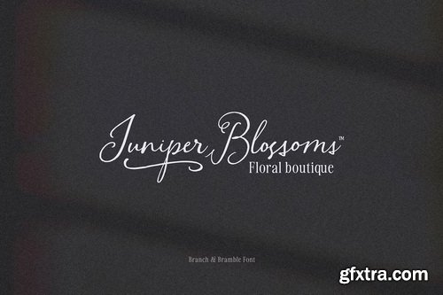 CreativeMarket - Branch & Bramble Calligraphy Font