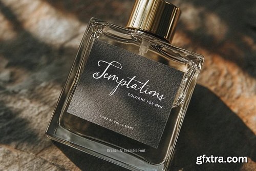 CreativeMarket - Branch & Bramble Calligraphy Font