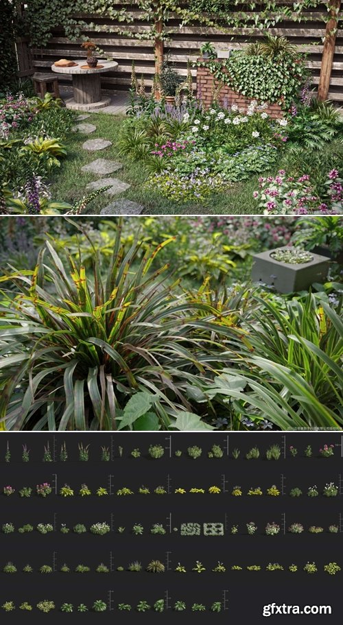 Maxtree - Plant Models Vol 8 for Blender