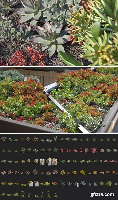 Maxtree - Plant Models Vol 14 for Blender