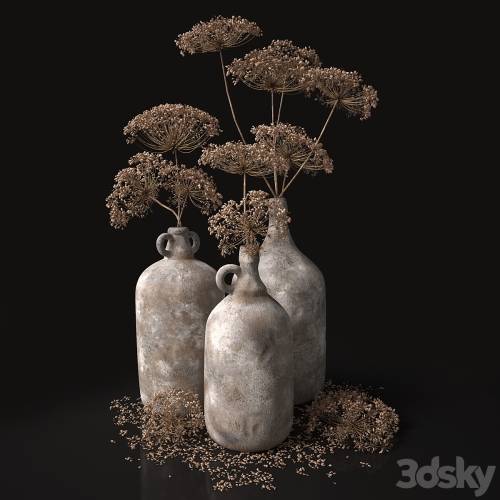 '3dsky Pro - Jugs with dry dill stalks' '3dsky Pro - Jugs with dry dill stalks'