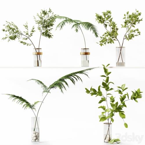 '3dsky Pro - Collection Indoor Plants 058'