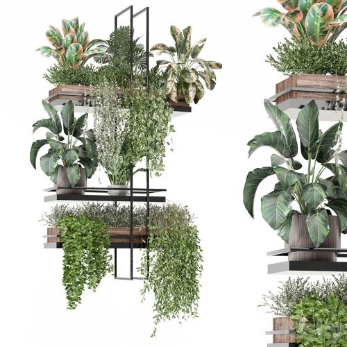 '3dsky Pro - indoor plants in metal box 1580'