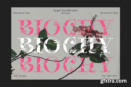 CreativeMarket - Biochy Luxury Serif