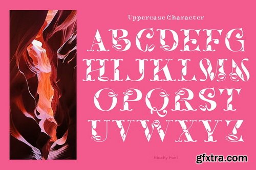 CreativeMarket - Biochy Luxury Serif