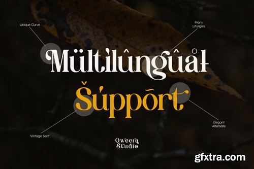 CreativeMarket - Glamour Coquette - Elegant Vintage Font