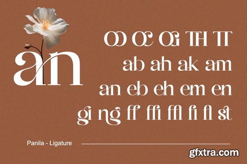 CreativeMarket - Panila - Modern Luxury Serif