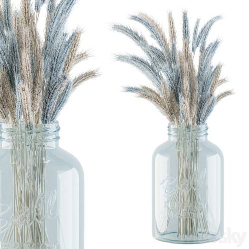 '3dsky Pro - Dry Plants 20 - Blue and Cream Wheat in jam Glass'