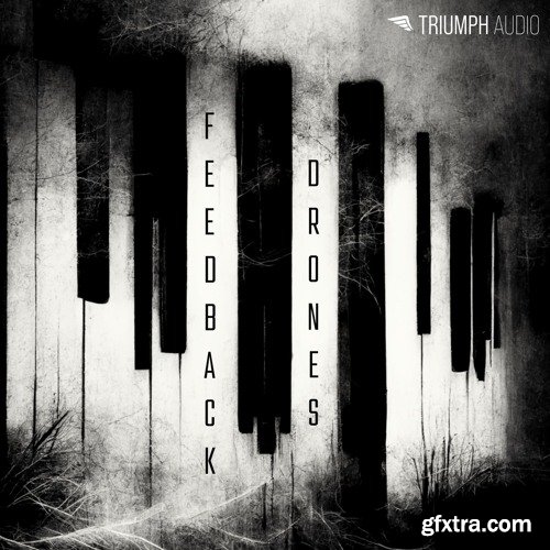 Triumph Audio Feedback Drones