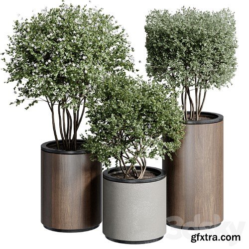 3dsky Pro - Outdoor Plant 25