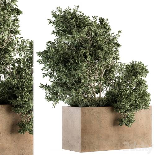 '3dsky Pro - Outdoor Plants Olive - Set 82'